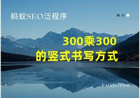 300乘300的竖式书写方式