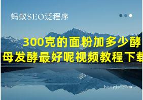 300克的面粉加多少酵母发酵最好呢视频教程下载