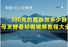 300克的面粉加多少酵母发酵最好呢视频教程大全