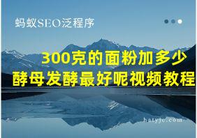 300克的面粉加多少酵母发酵最好呢视频教程