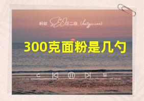 300克面粉是几勺