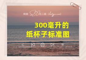 300毫升的纸杯子标准图