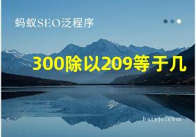 300除以209等于几