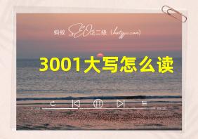 3001大写怎么读