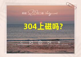 304上磁吗?