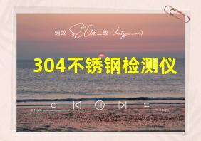 304不锈钢检测仪