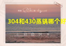 304和430蒸锅哪个好