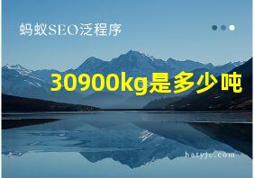 30900kg是多少吨