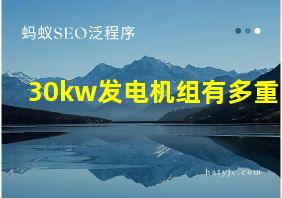 30kw发电机组有多重