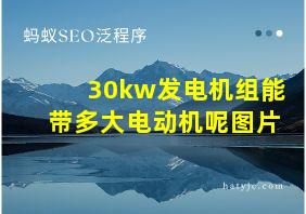 30kw发电机组能带多大电动机呢图片