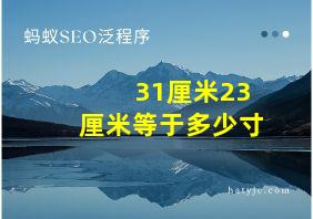 31厘米23厘米等于多少寸