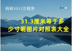 31.3厘米等于多少寸呢图片对照表大全