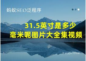 31.5英寸是多少毫米呢图片大全集视频