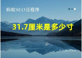 31.7厘米是多少寸