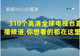 310个高清全球电视台直播频道,你想看的都在这里