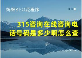 315咨询在线咨询电话号码是多少啊怎么查