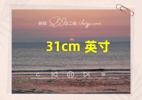 31cm 英寸