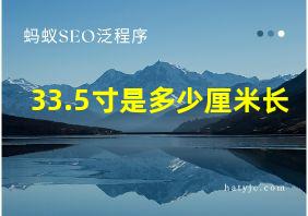 33.5寸是多少厘米长