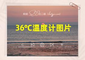 36℃温度计图片