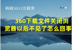 360下载文件关闭浏览器以后不见了怎么回事