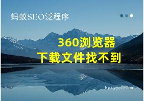 360浏览器下载文件找不到