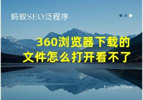 360浏览器下载的文件怎么打开看不了