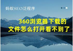 360浏览器下载的文件怎么打开看不到了