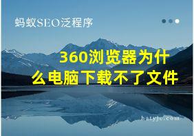 360浏览器为什么电脑下载不了文件