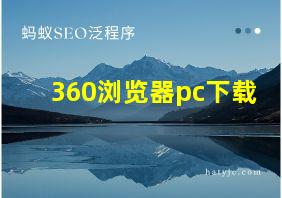 360浏览器pc下载