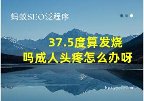 37.5度算发烧吗成人头疼怎么办呀