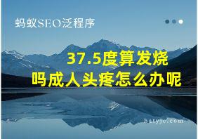 37.5度算发烧吗成人头疼怎么办呢