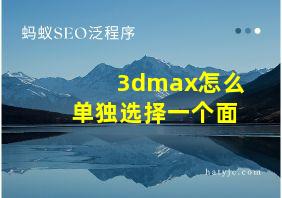 3dmax怎么单独选择一个面