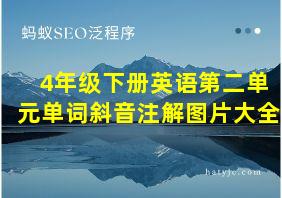 4年级下册英语第二单元单词斜音注解图片大全