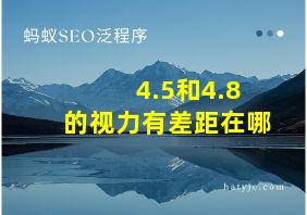 4.5和4.8的视力有差距在哪