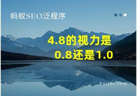 4.8的视力是0.8还是1.0