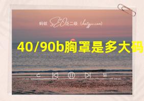 40/90b胸罩是多大码