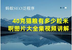 40克猫粮有多少粒米啊图片大全集视频讲解