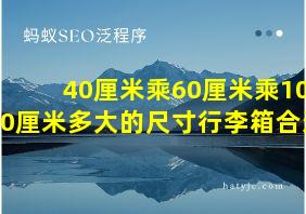 40厘米乘60厘米乘100厘米多大的尺寸行李箱合适