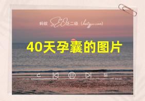 40天孕囊的图片