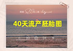 40天流产胚胎图