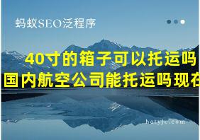 40寸的箱子可以托运吗国内航空公司能托运吗现在