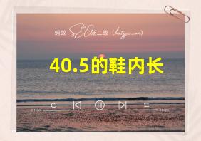 40.5的鞋内长