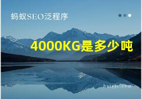 4000KG是多少吨