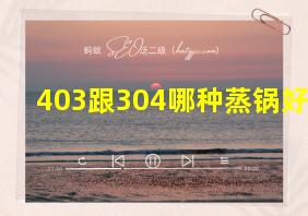 403跟304哪种蒸锅好