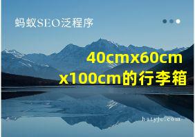 40cmx60cmx100cm的行李箱