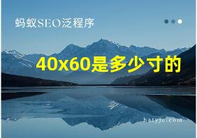 40x60是多少寸的