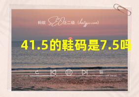 41.5的鞋码是7.5吗