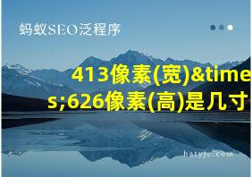 413像素(宽)×626像素(高)是几寸