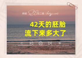 42天的胚胎流下来多大了