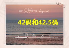 42码和42.5码